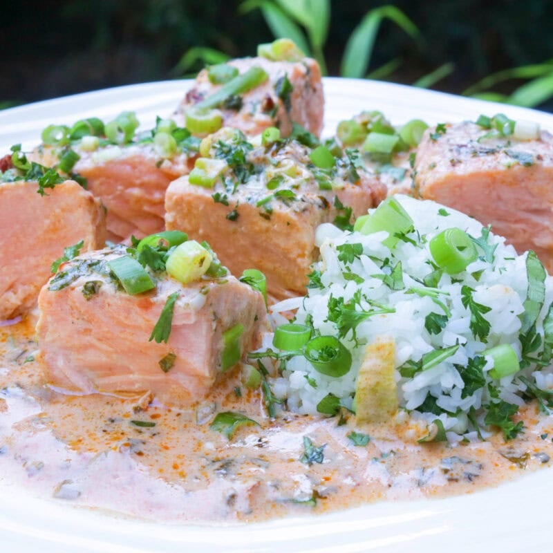 Poached salmon cut into pieces with coconut sauce and herbs on white plate.