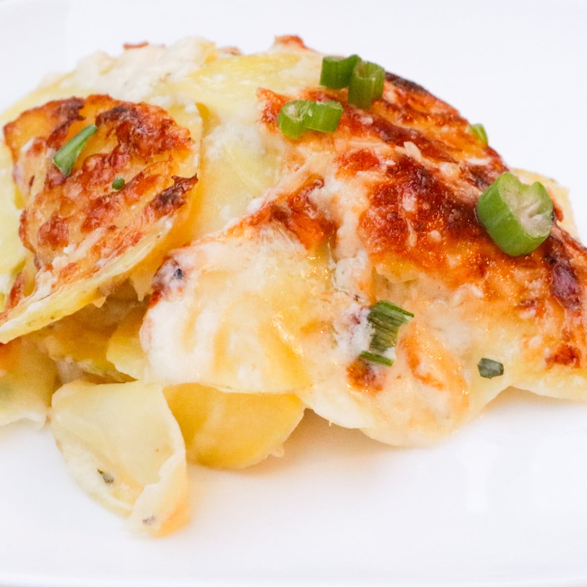 Scoop of cheesy scalloped potatoes with browned crust on a plate.