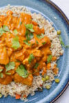 Chicken curry over rice, garnished with cilantro on a plate..
