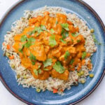 Chicken curry over rice, garnished with cilantro on a plate..