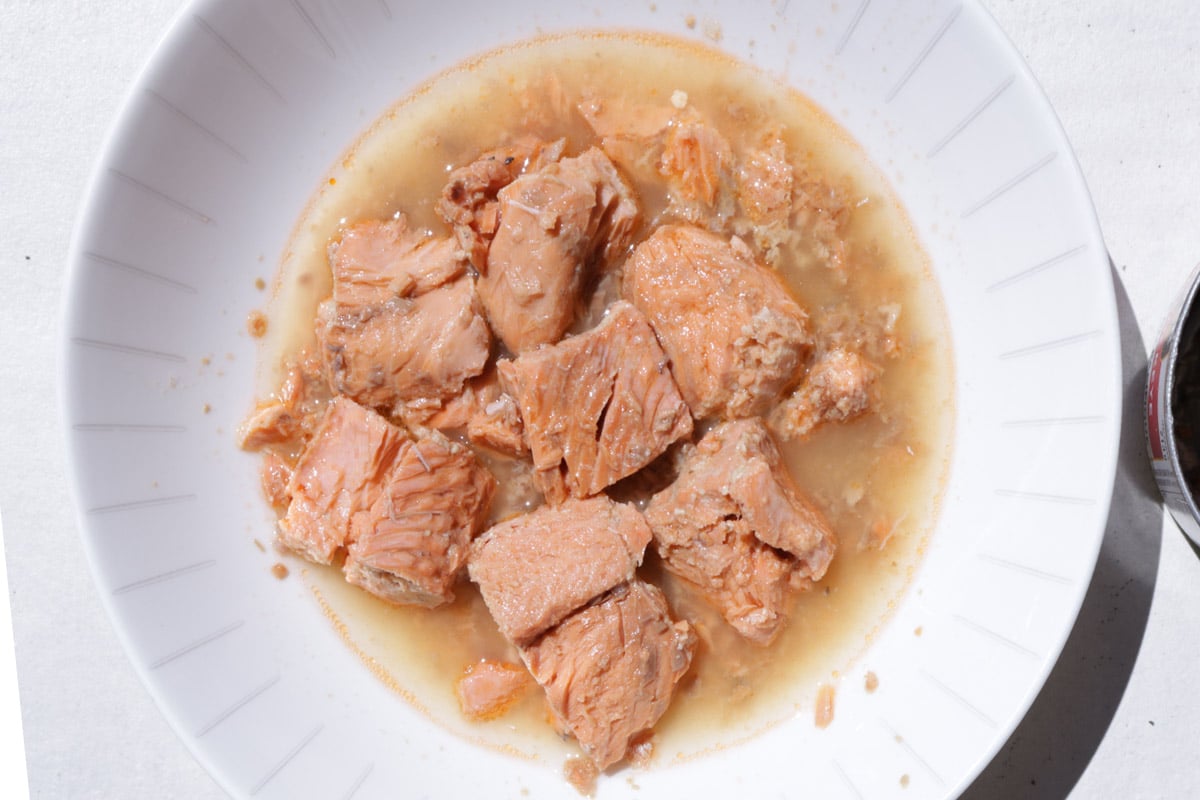 Chunks of salmon in a white bowl with their natural juices.