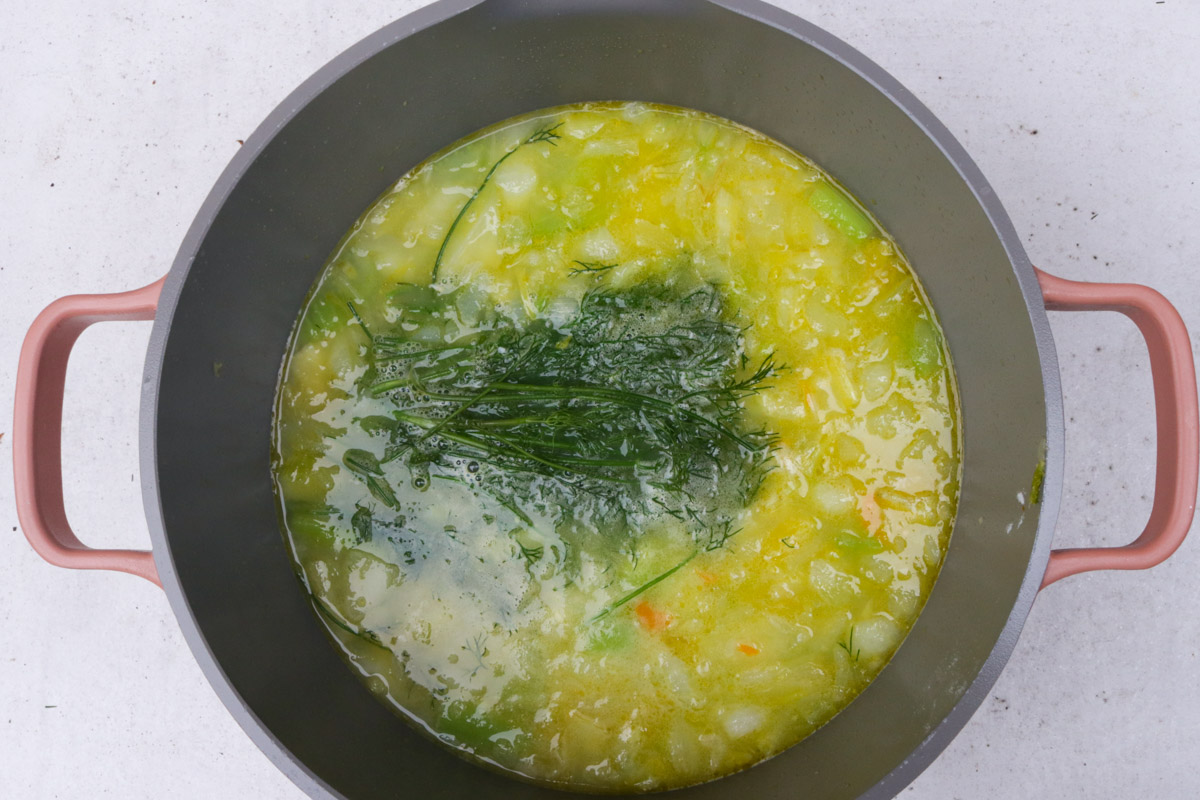 Pot of chicken broth, veggies and fresh dill.